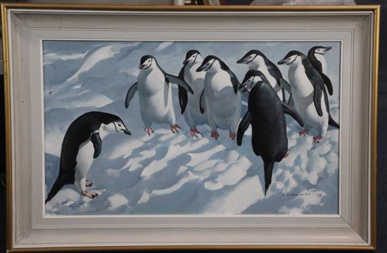 § Keith Shackleton (1923-2015) Flipper - Marked for Science - Chinstrap penguins 17.5 x 29.5in.